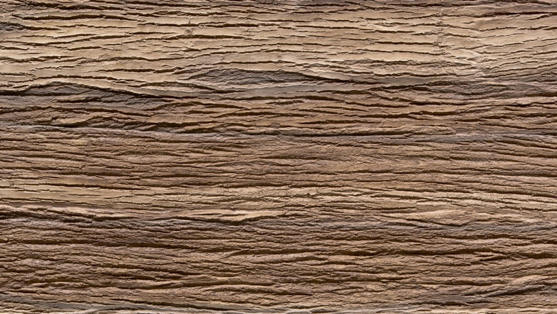 Amazon Earth - Artstone Wandpaneel