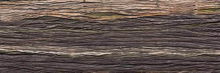 Amazon Natura - Artstone Wandpaneel