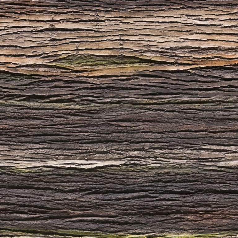 Amazon Natura - Artstone Wandpaneel