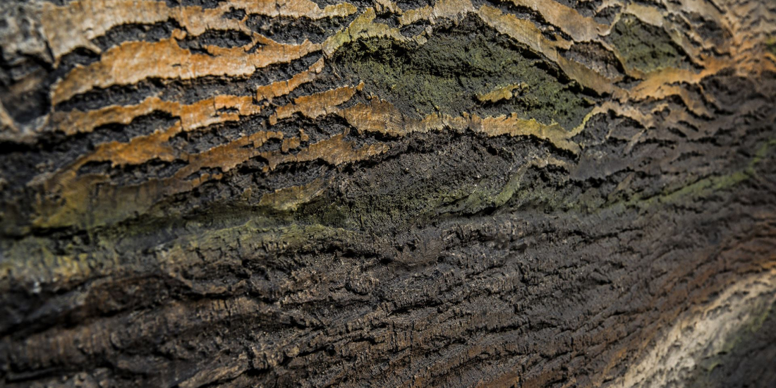 Amazon Perspektivdarstellung - Artstone Wandpaneel