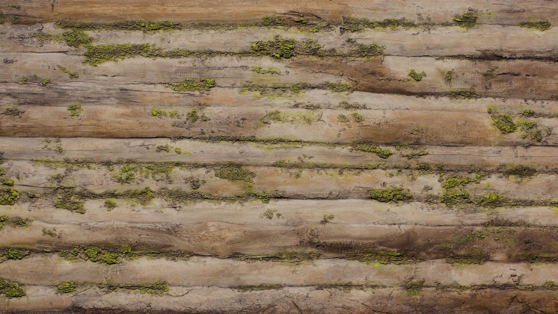 Baobab Moss Natura - Artstone Wandpaneel