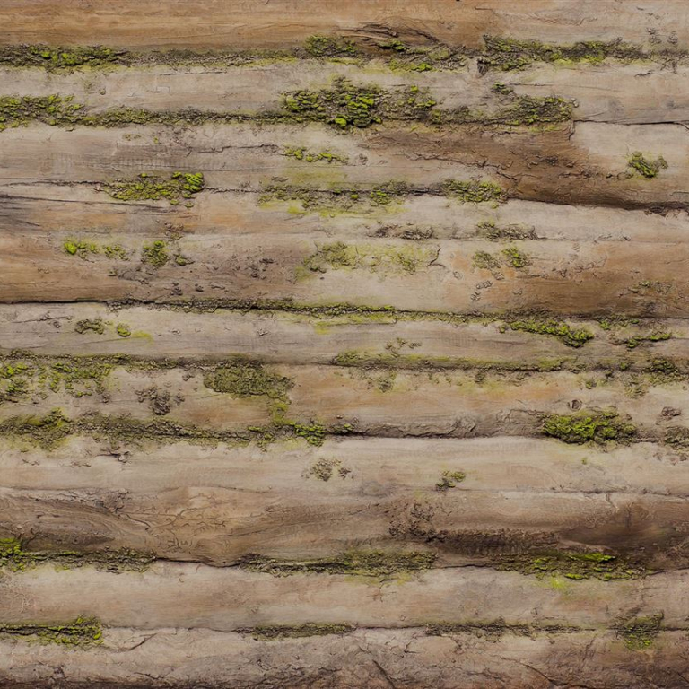 Baobab Moss Natura - Artstone Wandpaneel