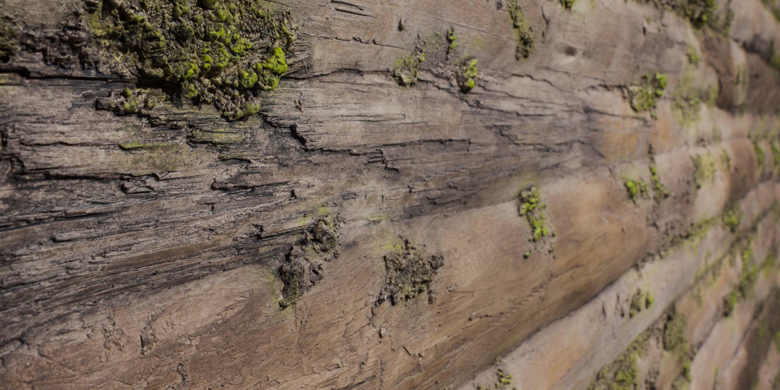Baobab Moss Perspektivdarstellung - Artstone Wandpaneel